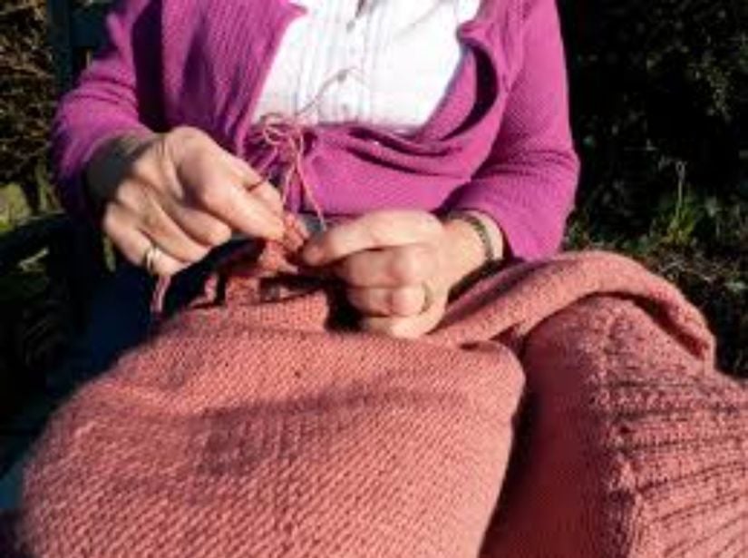 Yünlü giysiler Borrelia recurrentis bakterisini yayan vücut bitlerinin yumurtaları için rahat bir yuva sağlar.