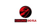 Juninho se revolta com anulação de gol em jogo do Flamengo x Fluminense | Coluna do Fla