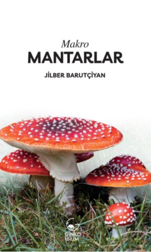 Makro Mantarlar
