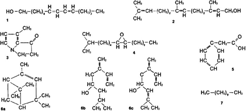 Kopulin molekülleri...