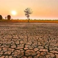 Outono 2025: El Niño intensificado por aquecimento global traz cenário de alerta