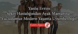 Yanlış Evrim: Şeker Hastalığından Ayak Mantarına...Vücudumuz Modern Yaşama Uyumlu Değil!