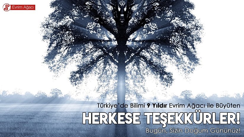 5 Kasım 2019'da Evrim Ağacı 9 yaşını doldurdu.