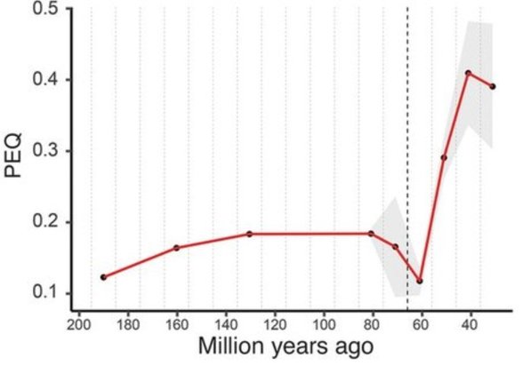 Düşeydeki PEQ, filogenetik ensefalizasyon katsayısına karşılık gelmektedir. Birden fazla türün ortalama zeka seviyesi gibi düşünülebilir.