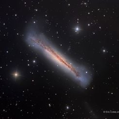  NGC 3628: The Hamburger Galaxy 