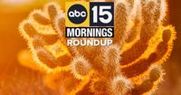 AM Roundup: 'Emily's Law', Glendale PD looking for persons of interest in deadly shooting, papal conclave