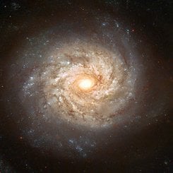 Spiral Galaxy NGC 3982 Before Supernova