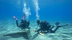 Kıbrıs’ın Sular Altında Kalmış Antik Ticaret Yolları!