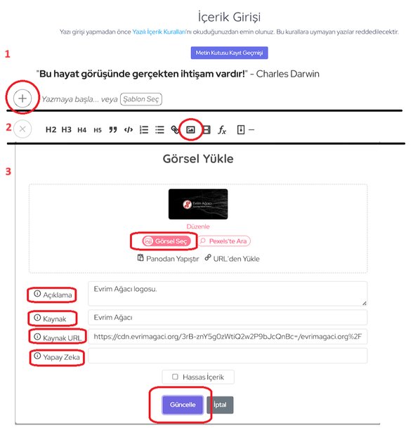 1. adımda + tuşuna basıyoruz. 2. adımda görsel ikonuna tıklıyoruz.3. adımda görsel seçiyoruz, gerekli bilgileri dolduruyoruz ve güncelle tuşuna basıyoruz.