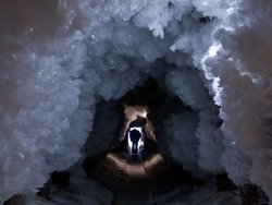 Bilim İnsanları Buzda 48.500 Yıl Donmuş Bir Zombi Virüsü Canlandırdı