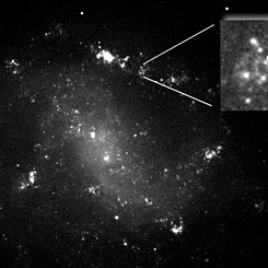 ESO 184-G82: Supernova - Gamma Ray Burst Connection