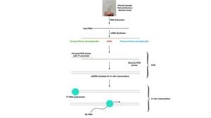 Synthetic Control Methodology Revolutionizes Metatranscriptomic Diagnostics