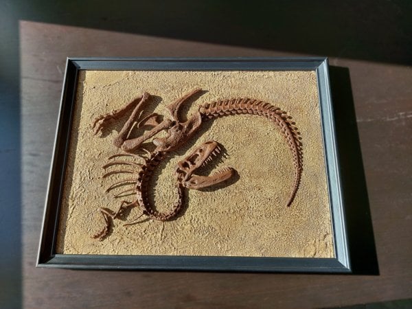 Gorgosaurus 3 Boyutlu Tablo