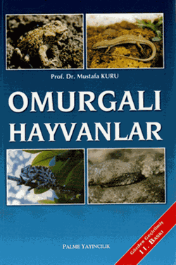 Omurgalı Hayvanlar