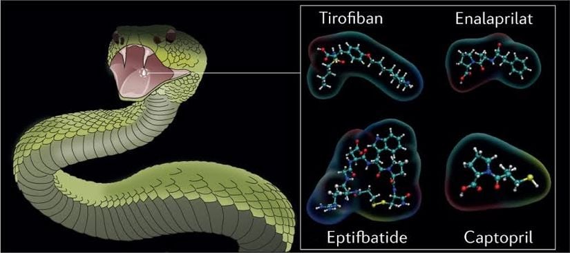 Zehirlerin içerikleri