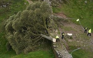 Trial Delayed For Men Accused Of Falling Iconic Sycamore Gap Tree