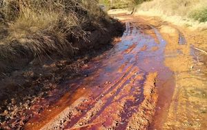 Controversy Erupts Over Jamones Albarracín Water Contamination Claims