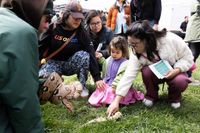 Green with ambition: S.F. celebrates Earth Day with weekend of events