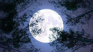 Super Blue Moon Illuminates Night Skies Globally