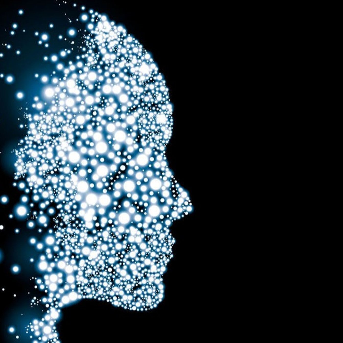 Evrim Ağacı ile Bilime Dair Her Şey!