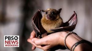 New Coronavirus Found In Brazilian Bats Linked To MERS