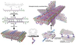 Innovative Protein Patch Enhances Rapid Hemostasis For Trauma Care