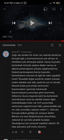 Diğer canlılardaki y kromozomunun olmaması nasıl evrimleşmiştir ?