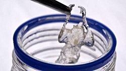 Şeffaflaştırılan fareler, kanser araştırmalarında çığır açabilir