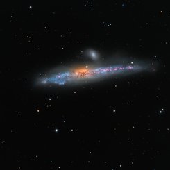  NGC 4631: The Whale Galaxy 