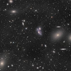 Virgo Cluster Galaxies