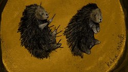 Ne Çok Yakın, Ne Çok Uzak