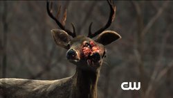 Dizilerde ve filmlerde görülen çeşitte mutasyonlar mümkün mü?