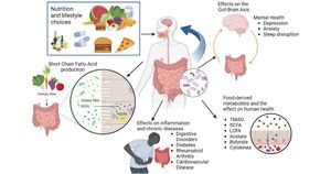 How Your Diet Can Transform Your Gut Health