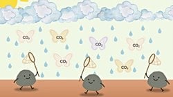 Geliştirilmiş Kaya Ayrışması: İklim Değişikliğiyle Mücadelede Doğal Bir Yöntem