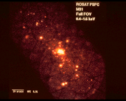 M31'in X-ışını Kaynakları