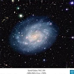 Spiral Galaxy NGC 300