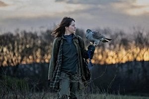 H Is For Hawk Soars With Raw Portrayal Of Grief
