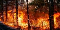 Wildfires prompt evacuation in the Carolinas as New Jersey crews battle their own blaze