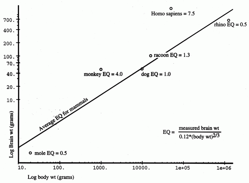 Ensefalizasyon Katsayısı olarak bilinen EQ (duygusal zeka ile karıştırılmamalıdır), insanda 7.5'a kadar çıkabilmektedir.