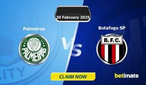 Palmeiras Prepares For Critical Showdown Against Botafogo-SP