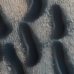 A Dark Dune Field in Proctor Crater on Mars