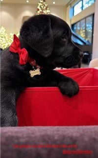 Khloe Kardashian introduces adorable new family member