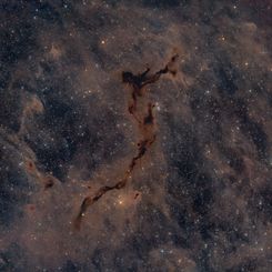  The Dark Seahorse in Cepheus 