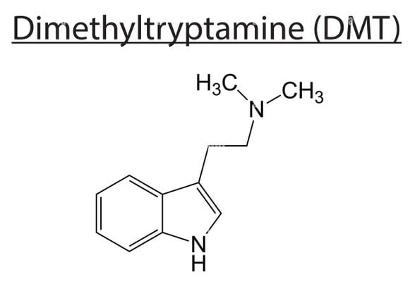 DMT kimyasal formülü.