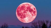 Розовую Луну смогут увидеть татарстанцы в ближайшие выходные 11/04/2025 – Новости