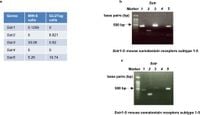 Insights into GLP-1 and insulin secretion mechanisms in pasireotide-induced hyperglycemia highlight effectiveness of Gs-targeting diabetes treatment - Scientific Reports