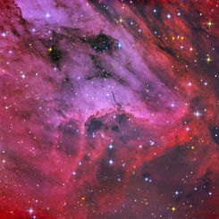 Pelican Nebula Close-up