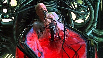 İnsan Vücudunun 7 Yılda Bir Baştan Sona Yenilendiği İddiası Doğru Değil!