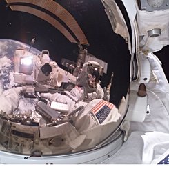 Dünya'da Yansımalar