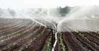 Dry weather forces water curbs on farmers in east Scotland